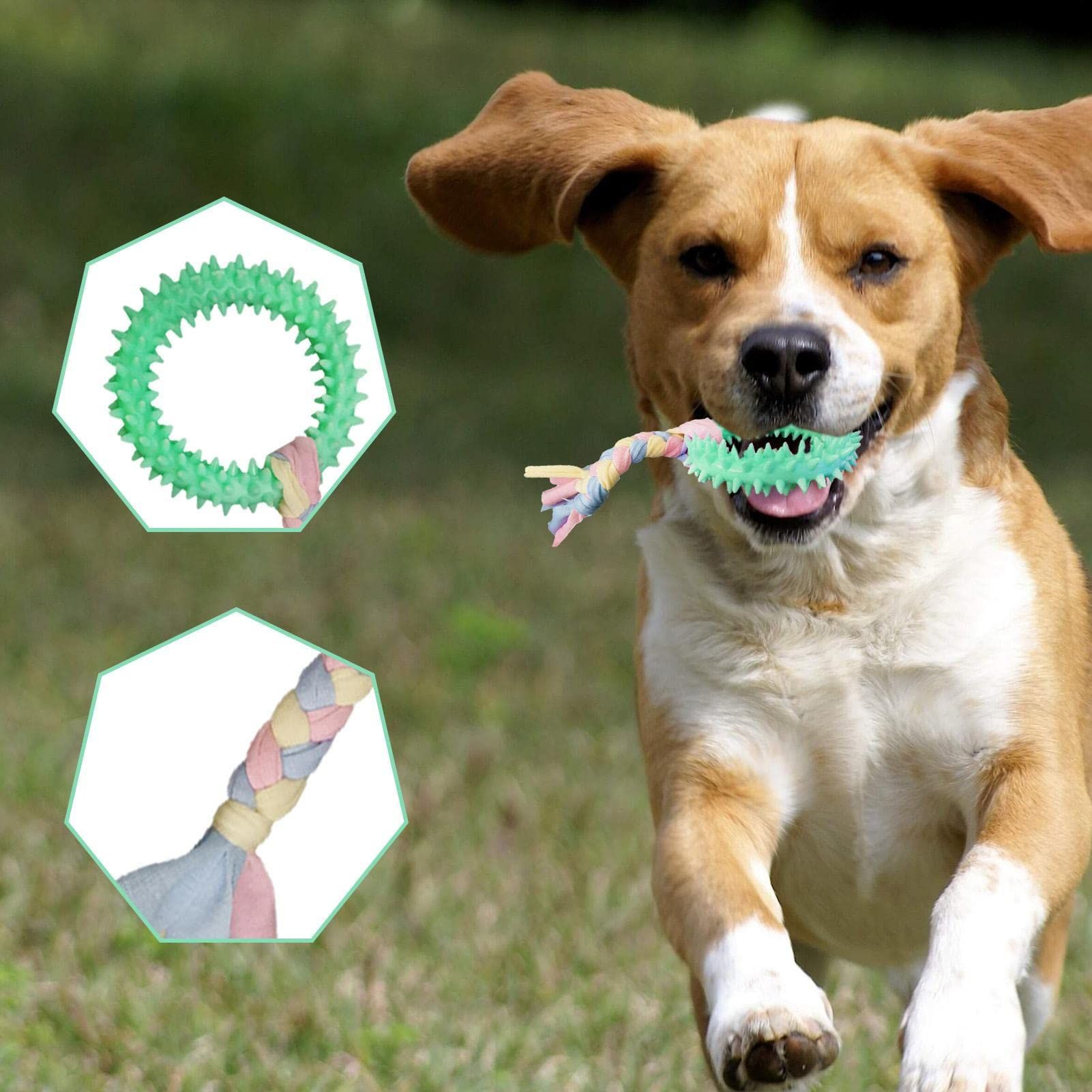 Chewable Dog Toys | Round Shape Chewable Pets Chew Toys with Good Elasticity and Interactivity for Cleaning, Teeth Grinding