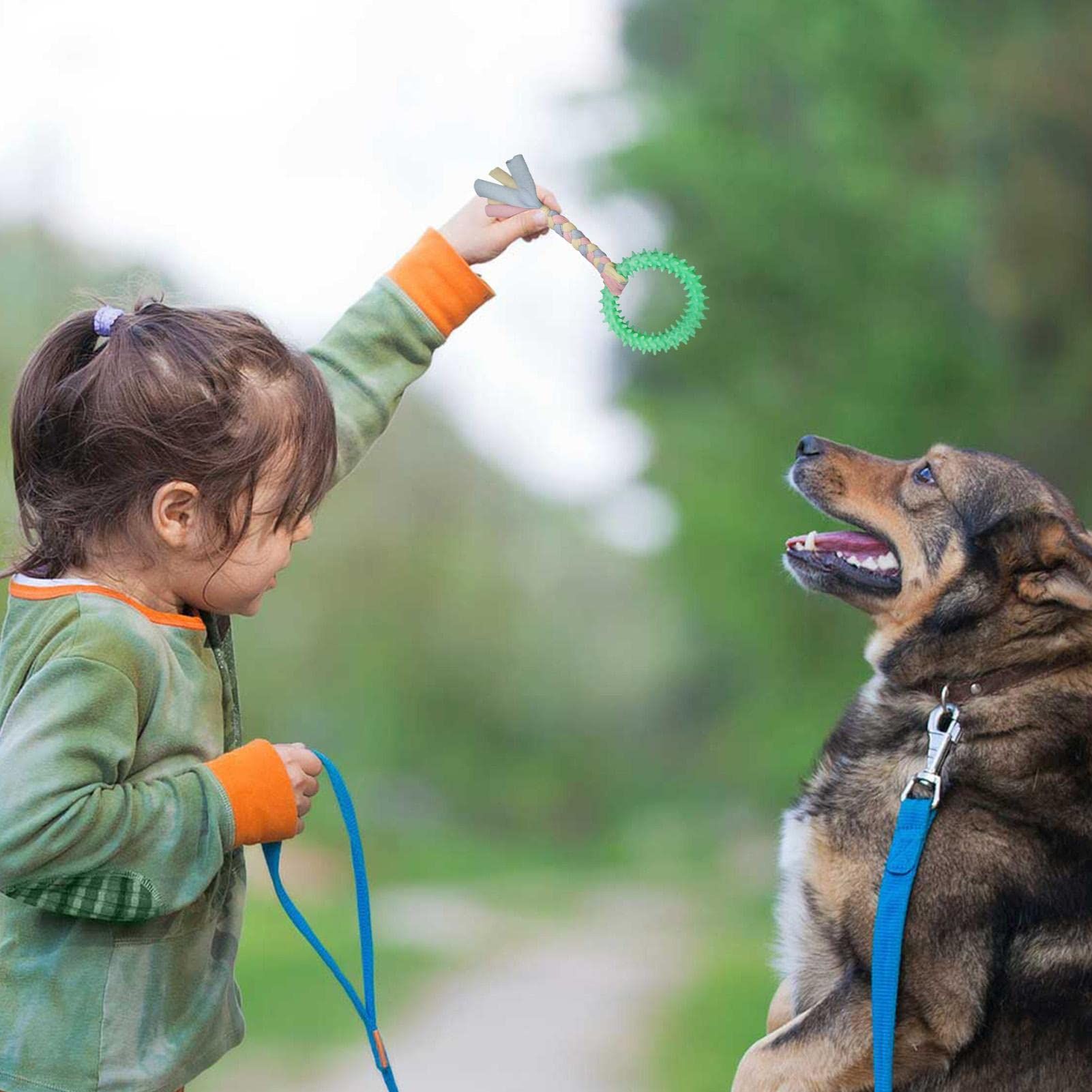 Chewable Dog Toys | Round Shape Chewable Pets Chew Toys with Good Elasticity and Interactivity for Cleaning, Teeth Grinding