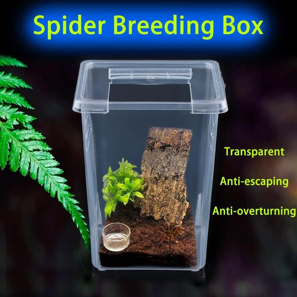 Insect Breeding Box Hatching Container 3.1 x 3.1 x 4.3 Inch 4 Piece Acrylic Terrarium for Arboreal Spider Mantis Scorpion