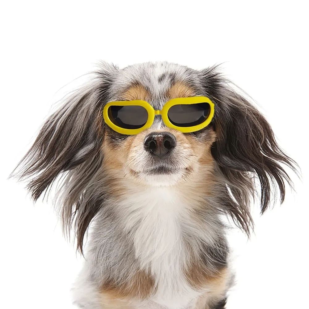 Outdoor Dog Sunglasses Anti-UV Eye Protection Goggles Waterproof Windproof Anti-Fog for Small Pet Puppy Cat (Yellow)