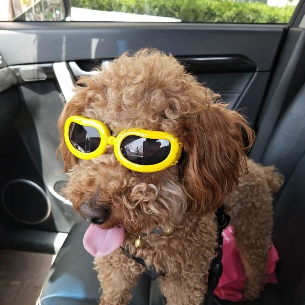 Outdoor Dog Sunglasses Anti-UV Eye Protection Goggles Waterproof Windproof Anti-Fog for Small Pet Puppy Cat (Yellow)