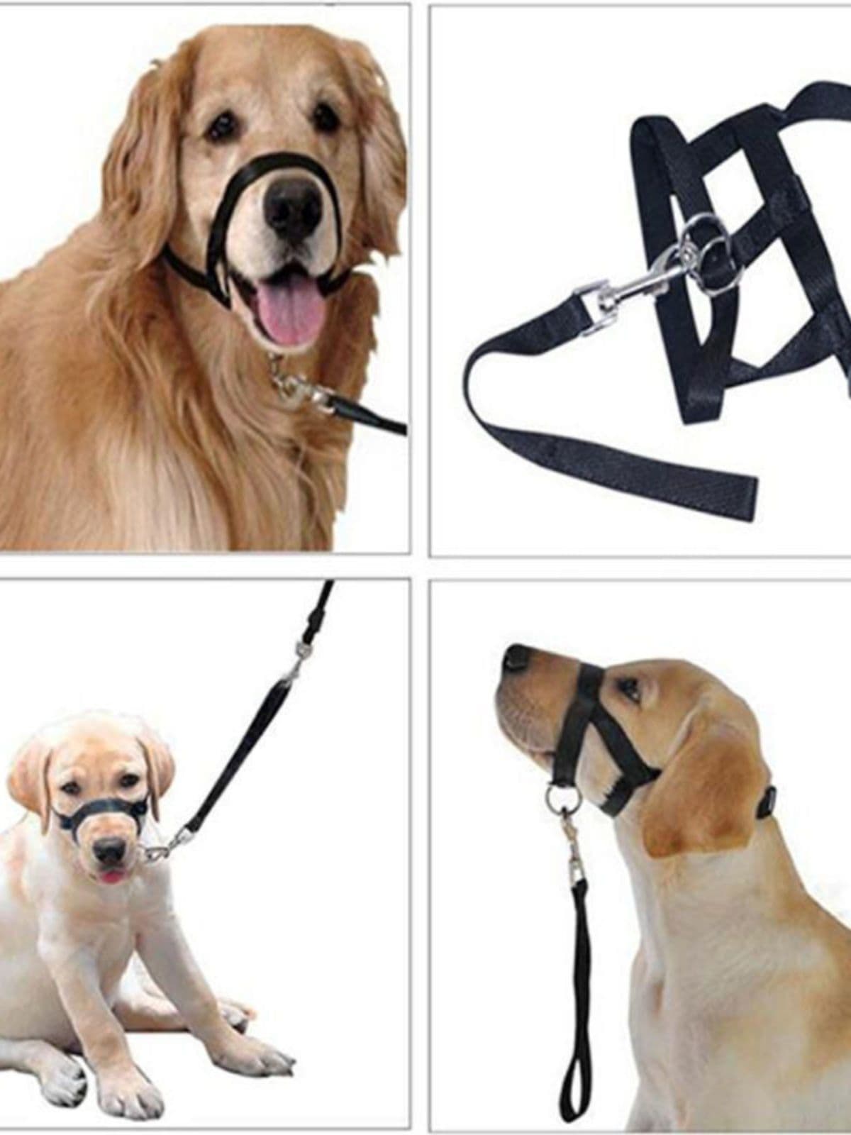 Dog Head Collar No Pull Training Tool for Small Medium Large Dogs Comfortable Fit Adjustable Straps