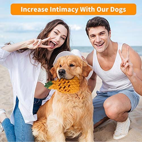 Puppy Chew Toys, Dog Chew Toys for Average Chewer, Tough Dog Dental Chews Toy, Indestructible Dog Toys