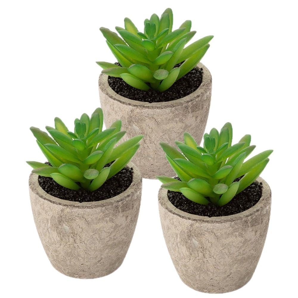 3Pcs Fake Succulent Plant Decor with Assorted Color Plastic Basin for Home Office Balcony Decoration