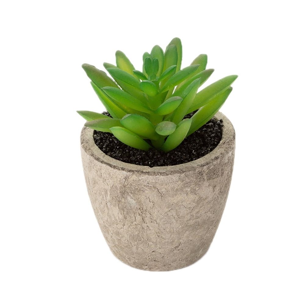 3Pcs Fake Succulent Plant Decor with Assorted Color Plastic Basin for Home Office Balcony Decoration
