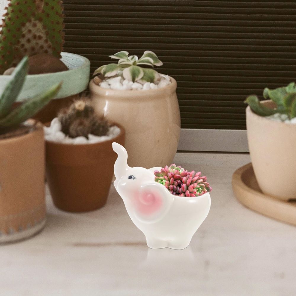 Ceramic Succulent Pot Adorable Elephant Design for Space Saving Decor