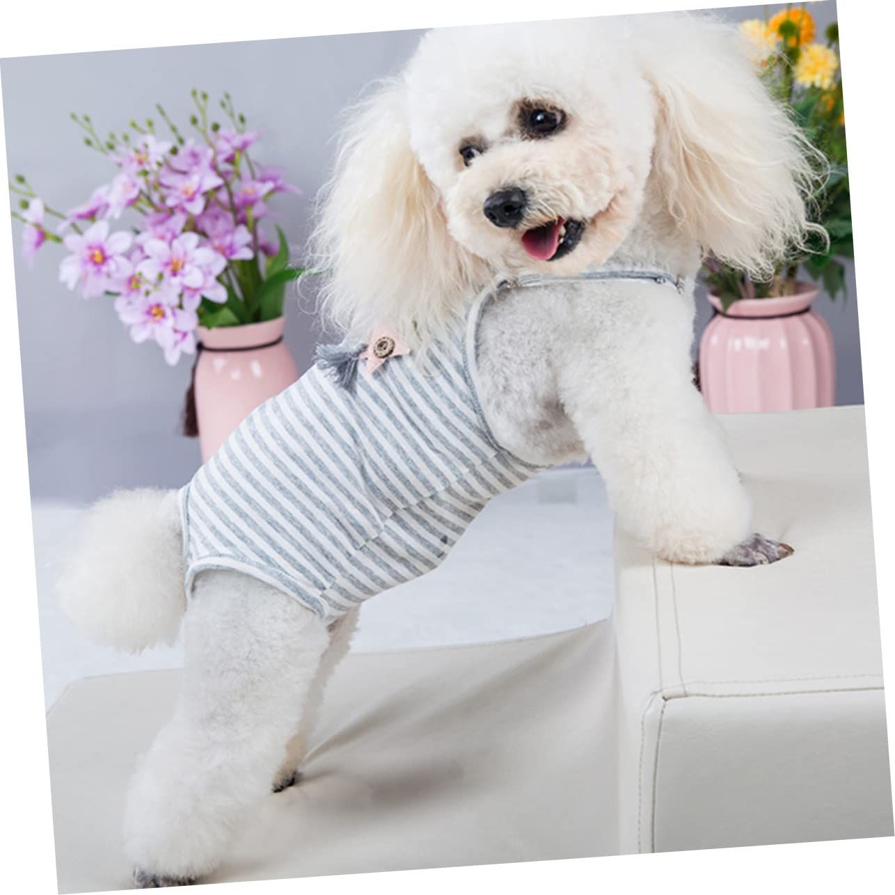 Suspenders Physiological Pants Reusable Puppy Diaper Dog Diapers Puppy Diaper Pantie Dog Diaper Suspenders Dog Apparel Panties M