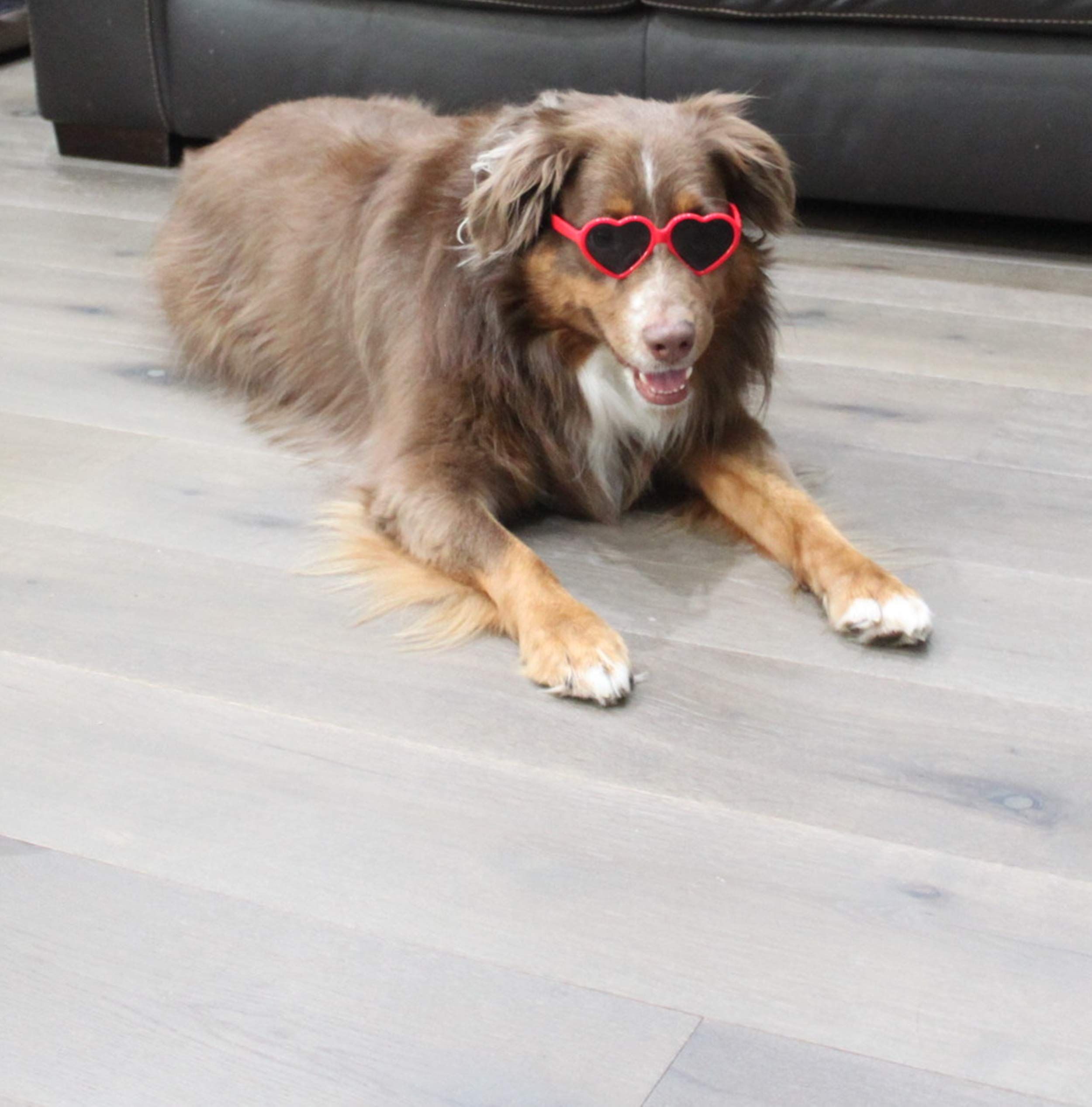 Dog Small Breed up to 15lbs Puppy Cat Pet Heart Tiny Sunglasses Photos Props Pets Party Decor Dog Sunglasses(Red)