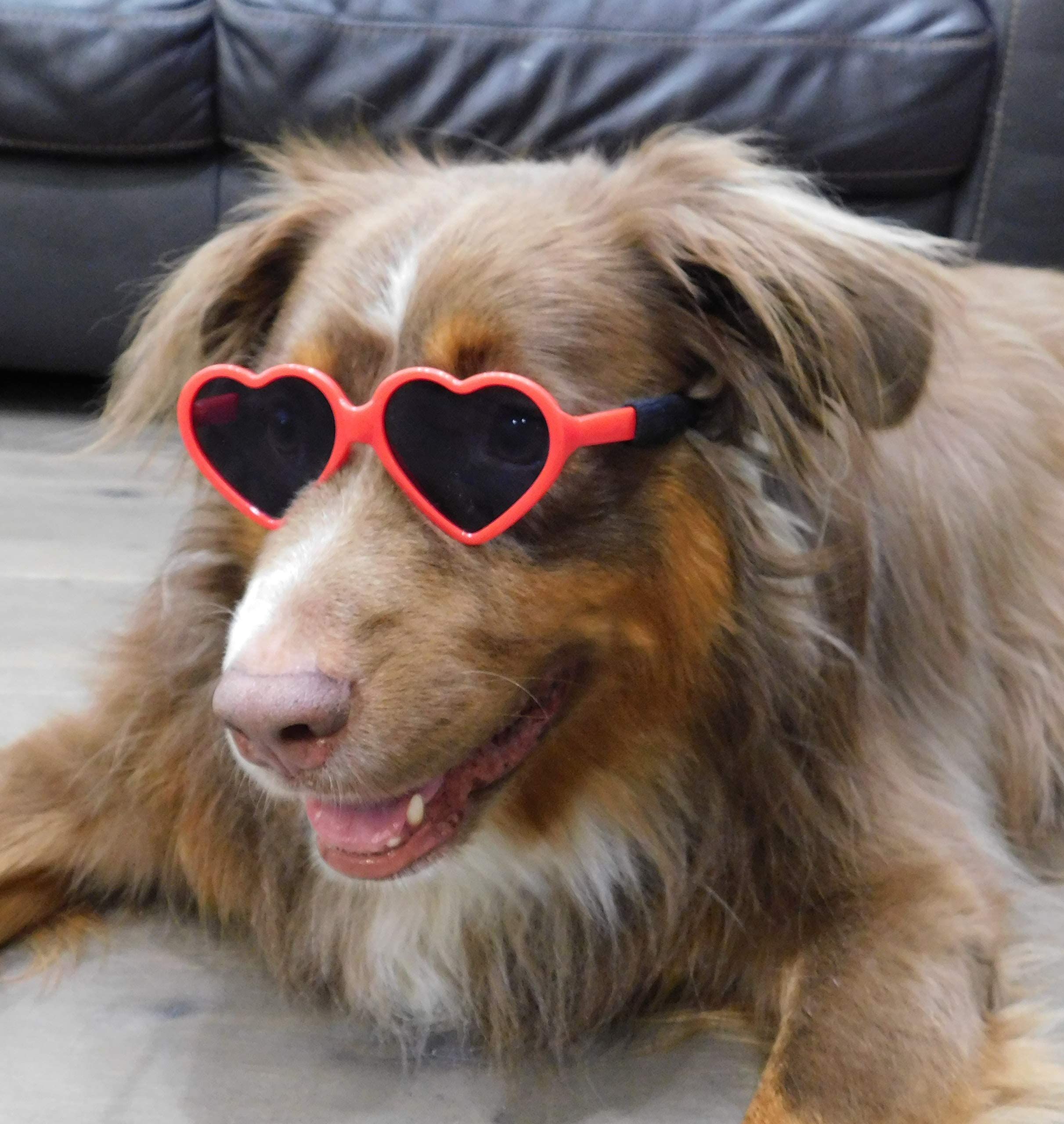 Dog Small Breed up to 15lbs Puppy Cat Pet Heart Tiny Sunglasses Photos Props Pets Party Decor Dog Sunglasses(Red)