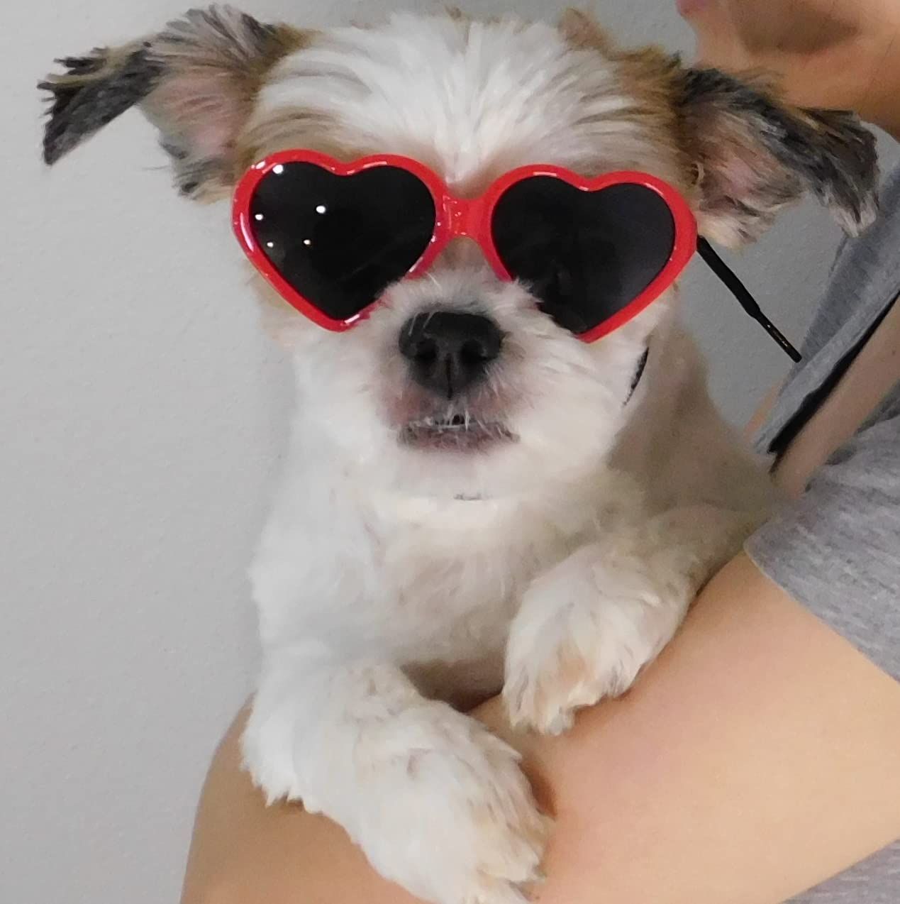 Dog Small Breed up to 15lbs Puppy Cat Pet Heart Tiny Sunglasses Photos Props Pets Party Decor Dog Sunglasses(Red)