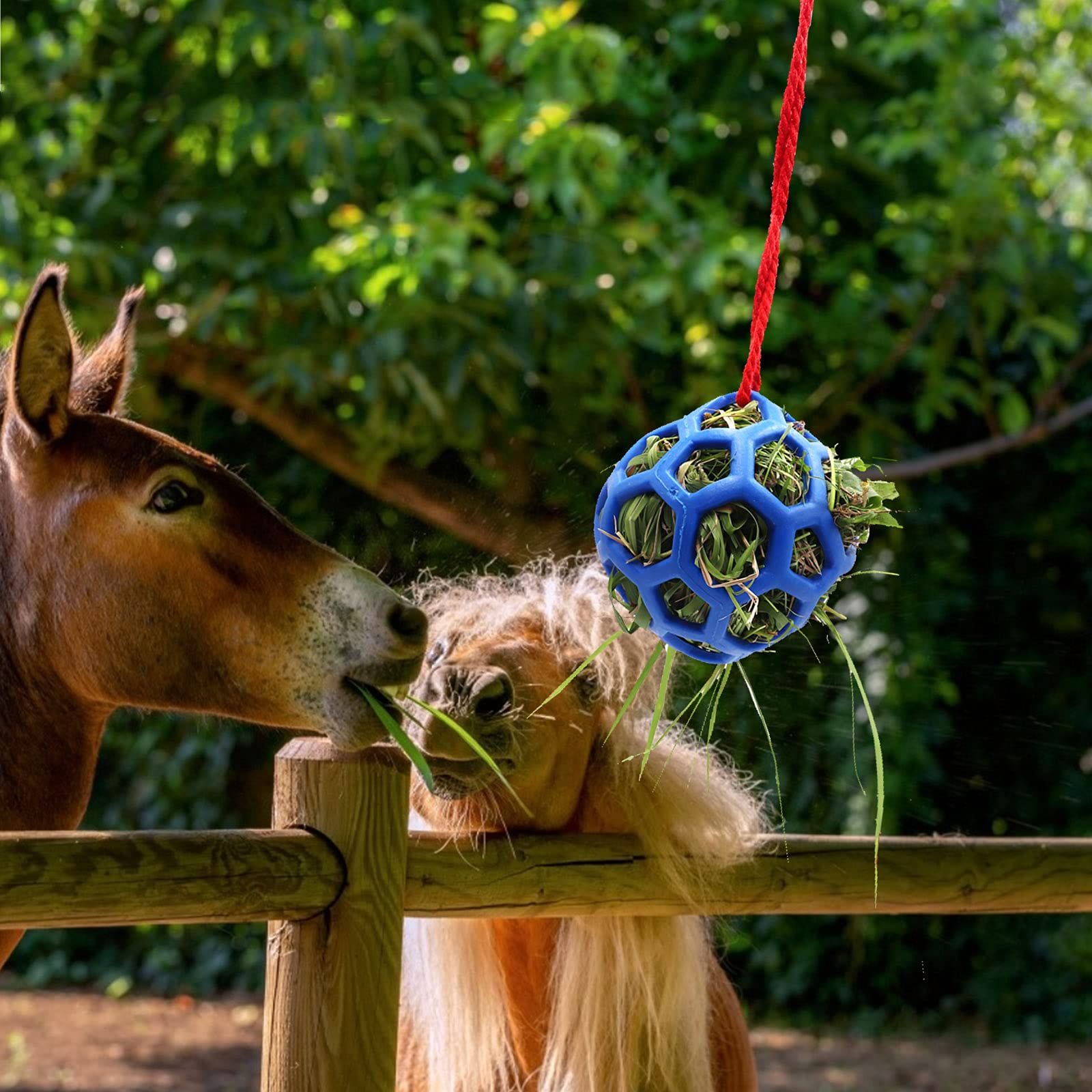 Hay Ball for Horses, Goats, Sheep, Stress Relief, Pack of 2 (Blue) to keep the horse or goat busy and relieve stress