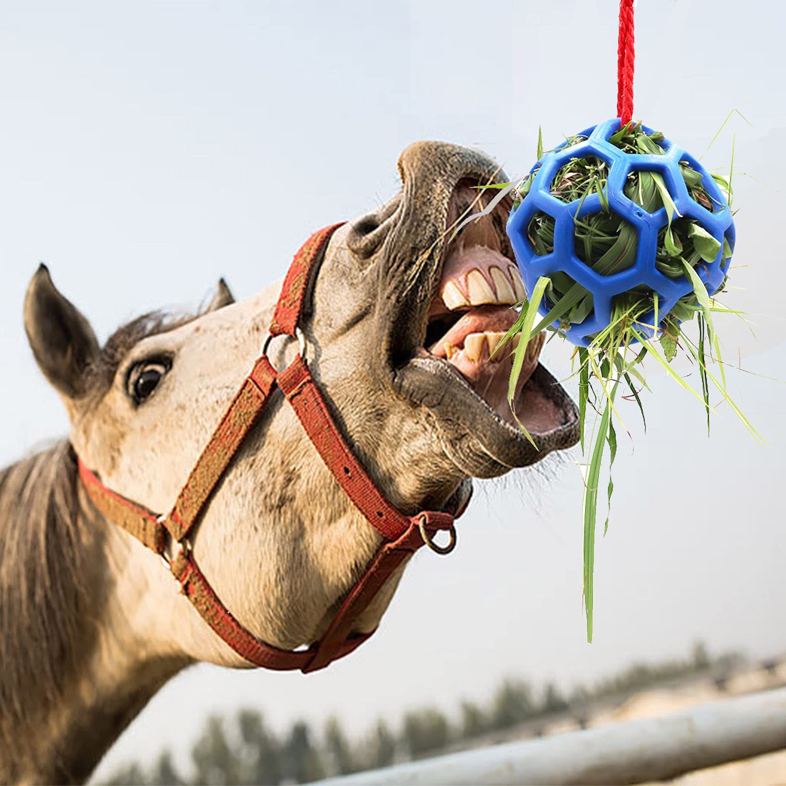 Hay Ball for Horses, Goats, Sheep, Stress Relief, Pack of 2 (Blue) to keep the horse or goat busy and relieve stress