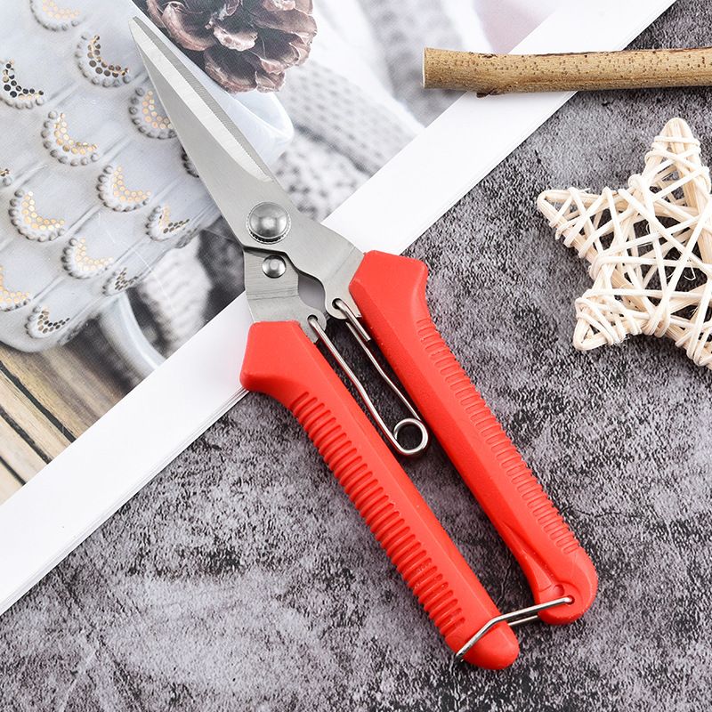 small Plant Cutting Scissors, Professional bypass pruning hand shears, hedge shears,Bonsai and Fruits Picking tools,Pruning (red)