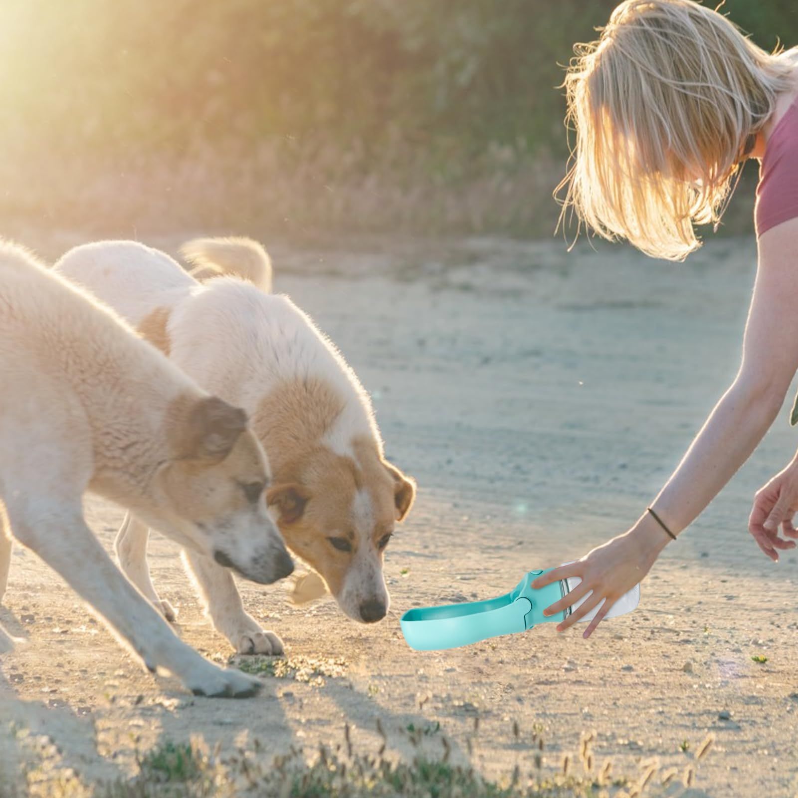 350ml/11.84 oz, Portable Leak-Proof Pet Water Bottle, Foldable, for Cats, Dogs and Small Animals, Outdoor Activities (Blue)