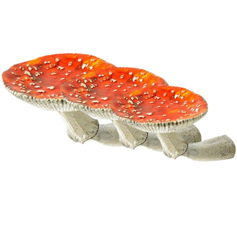 Mushroom Shelf 3 Pack Cute Cottage Core Wall Decor Small Floating Mushroom Shelves Unique Mushroom Gifts for Girls and Boys