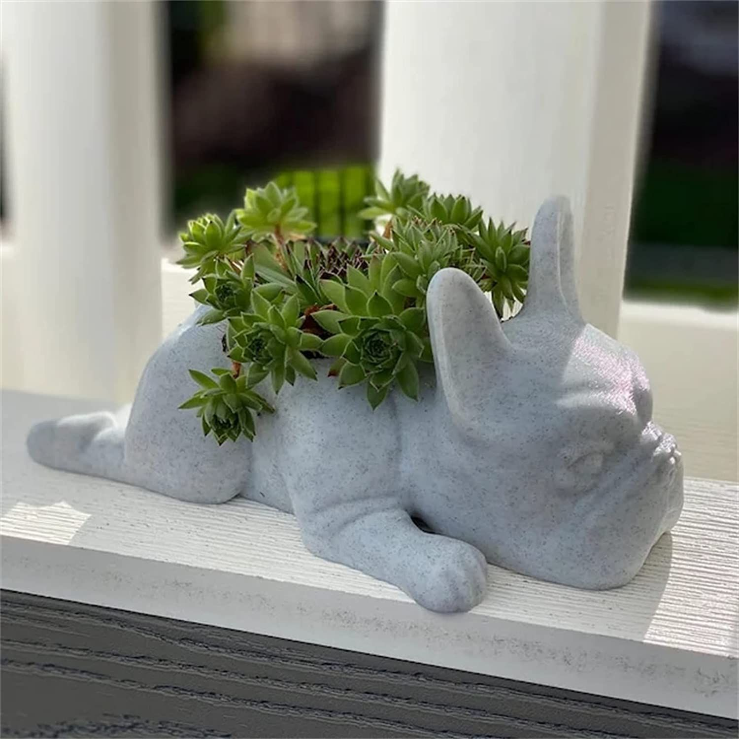 Succulent Planter Pots, Bulldog Shape Resin Succulent Planter Desktop Plant Pot Bonsai for Home Garden Office Tabletop Decor