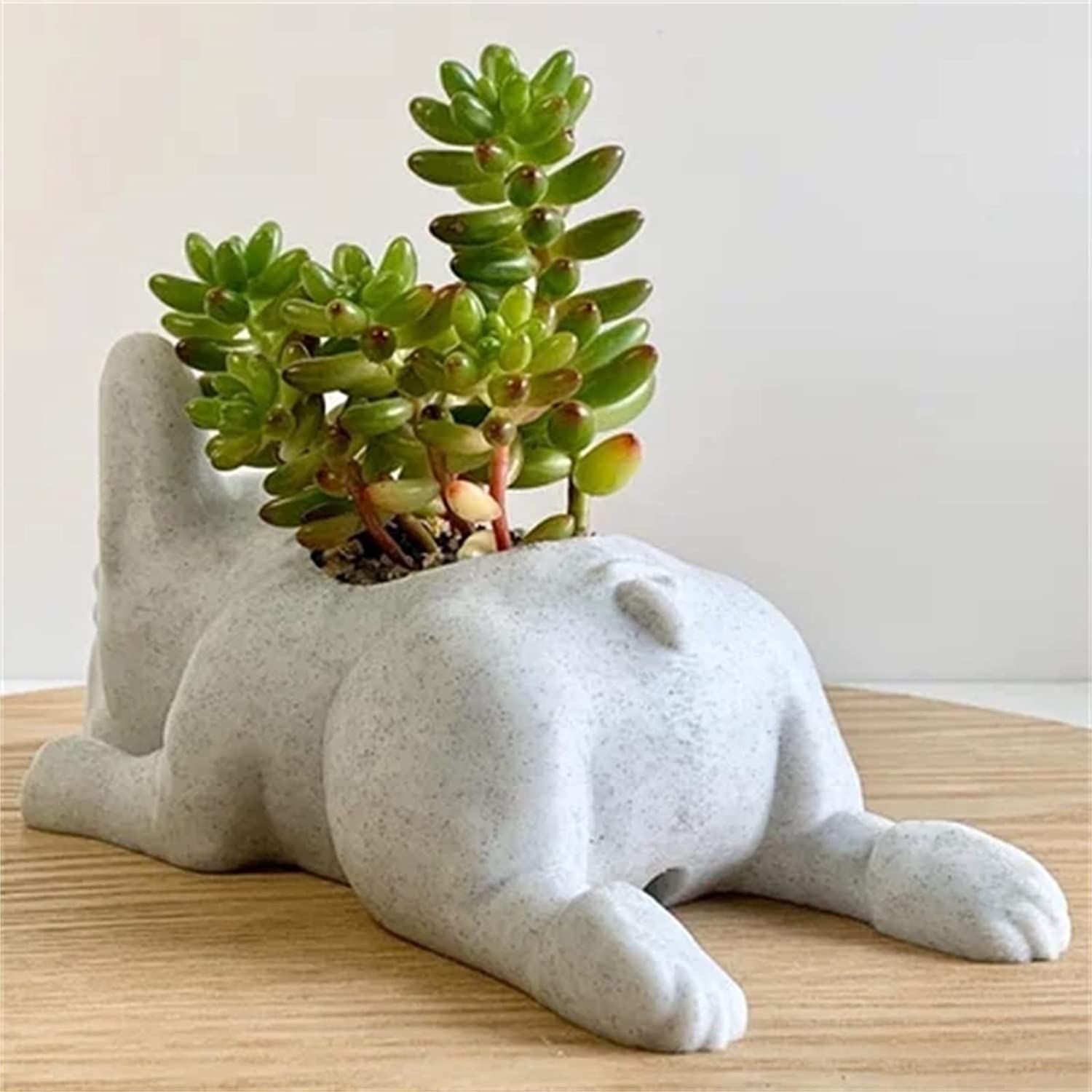 Succulent Planter Pots, Bulldog Shape Resin Succulent Planter Desktop Plant Pot Bonsai for Home Garden Office Tabletop Decor