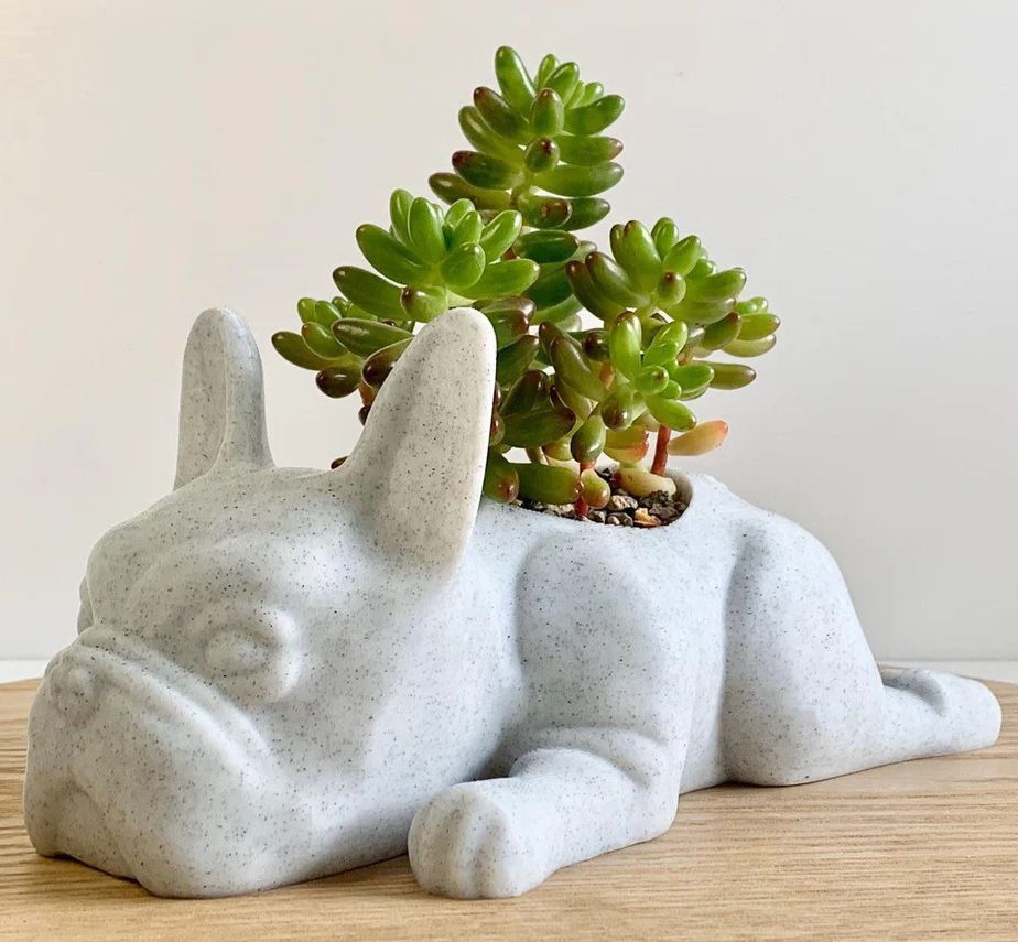 Succulent Planter Pots, Bulldog Shape Resin Succulent Planter Desktop Plant Pot Bonsai for Home Garden Office Tabletop Decor