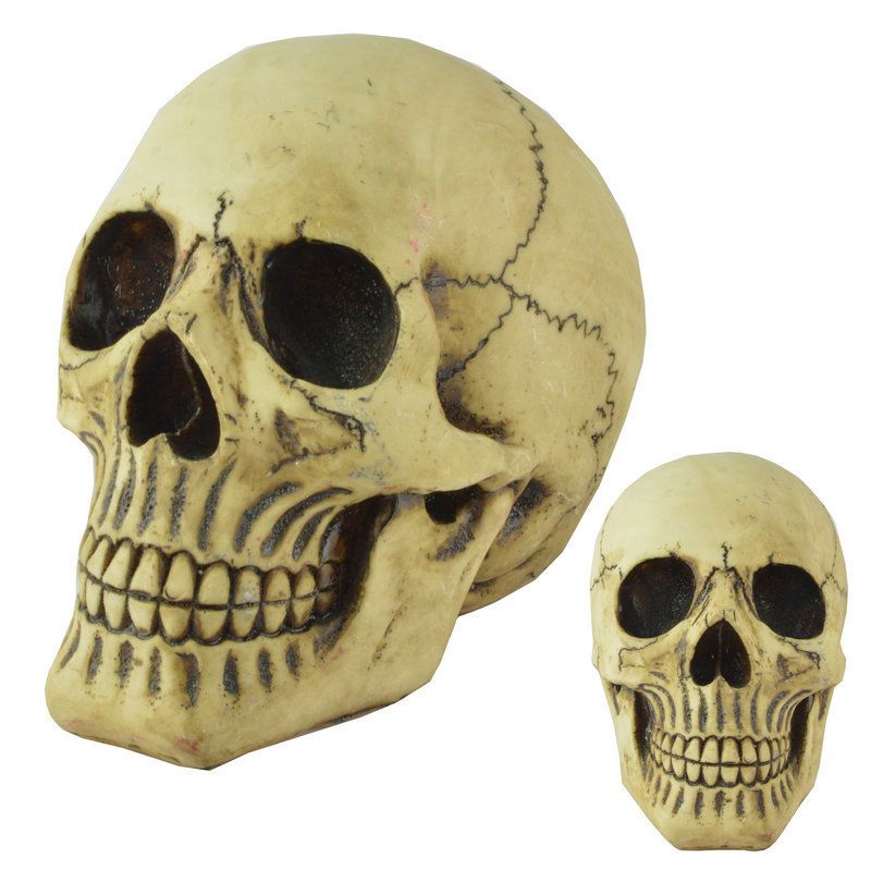Resin Skull Head Model Simulation Skeleton Head Medical Skull Art Copy for Halloween Decor Spooky Vibes