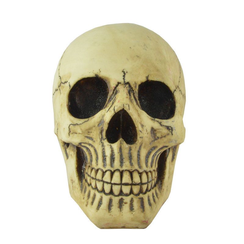 Resin Skull Head Model Simulation Skeleton Head Medical Skull Art Copy for Halloween Decor Spooky Vibes