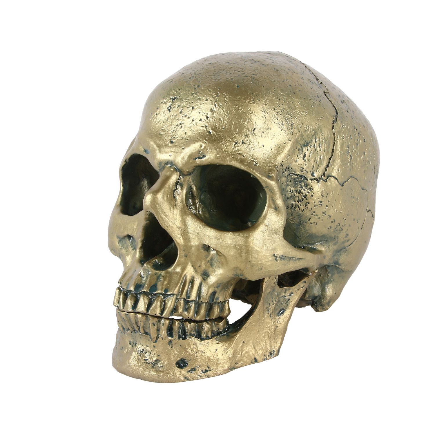 Resin Human Skull Model Halloween Props Home Decorations High Fidelity Skull Head Sculpture Life Size, Bronze