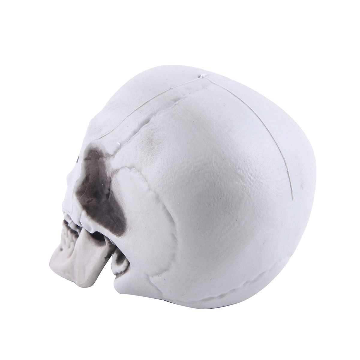 Skull Decor Plastic Skulls Heads, Day of The Dead Decor Human Skull Life Size Skeleton Head Realistic Model