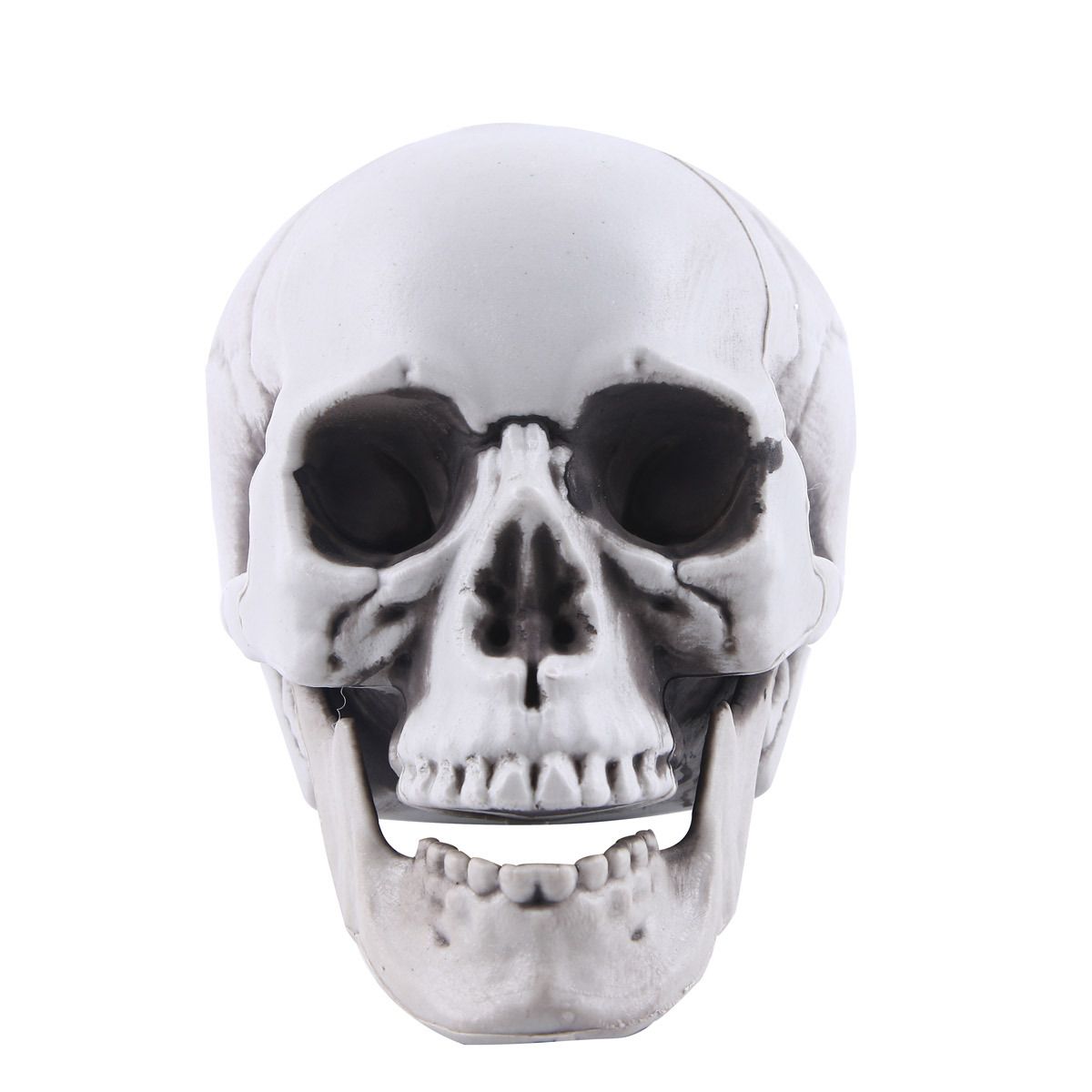 Skull Decor Plastic Skulls Heads, Day of The Dead Decor Human Skull Life Size Skeleton Head Realistic Model