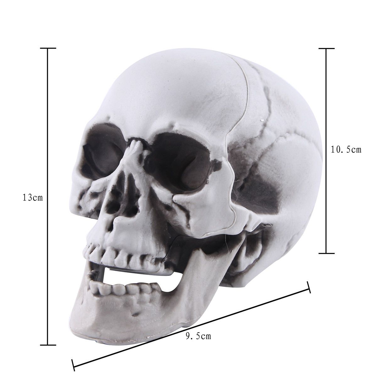 Skull Decor Plastic Skulls Heads, Day of The Dead Decor Human Skull Life Size Skeleton Head Realistic Model