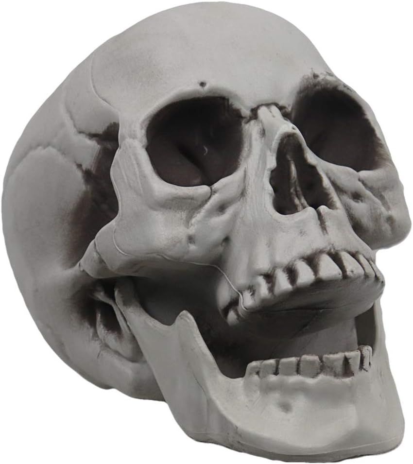 Skull Decor Plastic Skulls Heads, Day of The Dead Decor Human Skull Life Size Skeleton Head Realistic Model