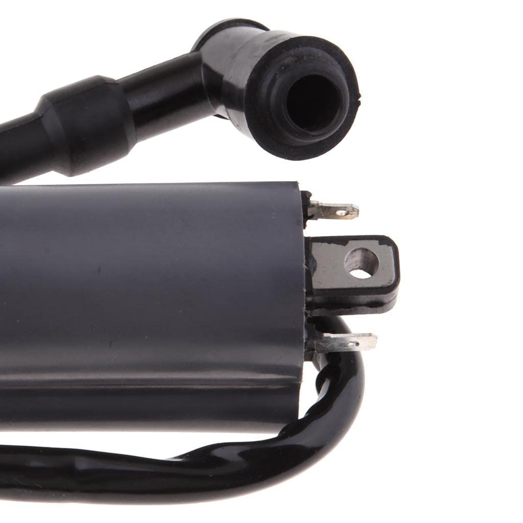 1 Piece New Ignition Coil for 300CC D300 G300 H300 Pit ATV Dirt Quad Bike EfficiencyIgnition Coil Compatible
