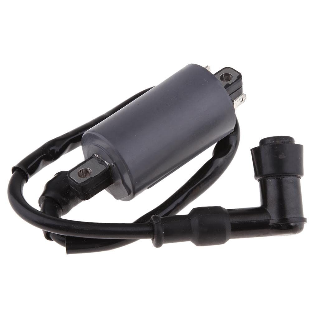 1 Piece New Ignition Coil for 300CC D300 G300 H300 Pit ATV Dirt Quad Bike EfficiencyIgnition Coil Compatible