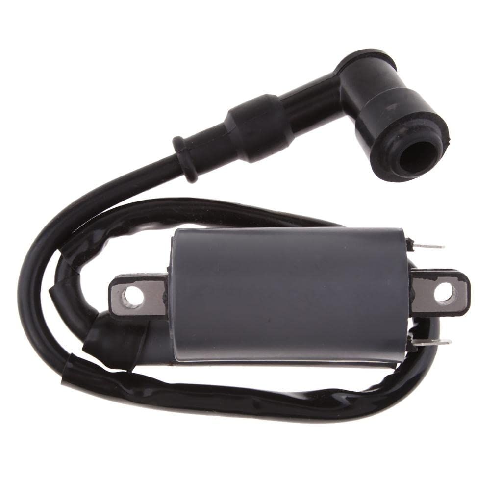 1 Piece New Ignition Coil for 300CC D300 G300 H300 Pit ATV Dirt Quad Bike EfficiencyIgnition Coil Compatible