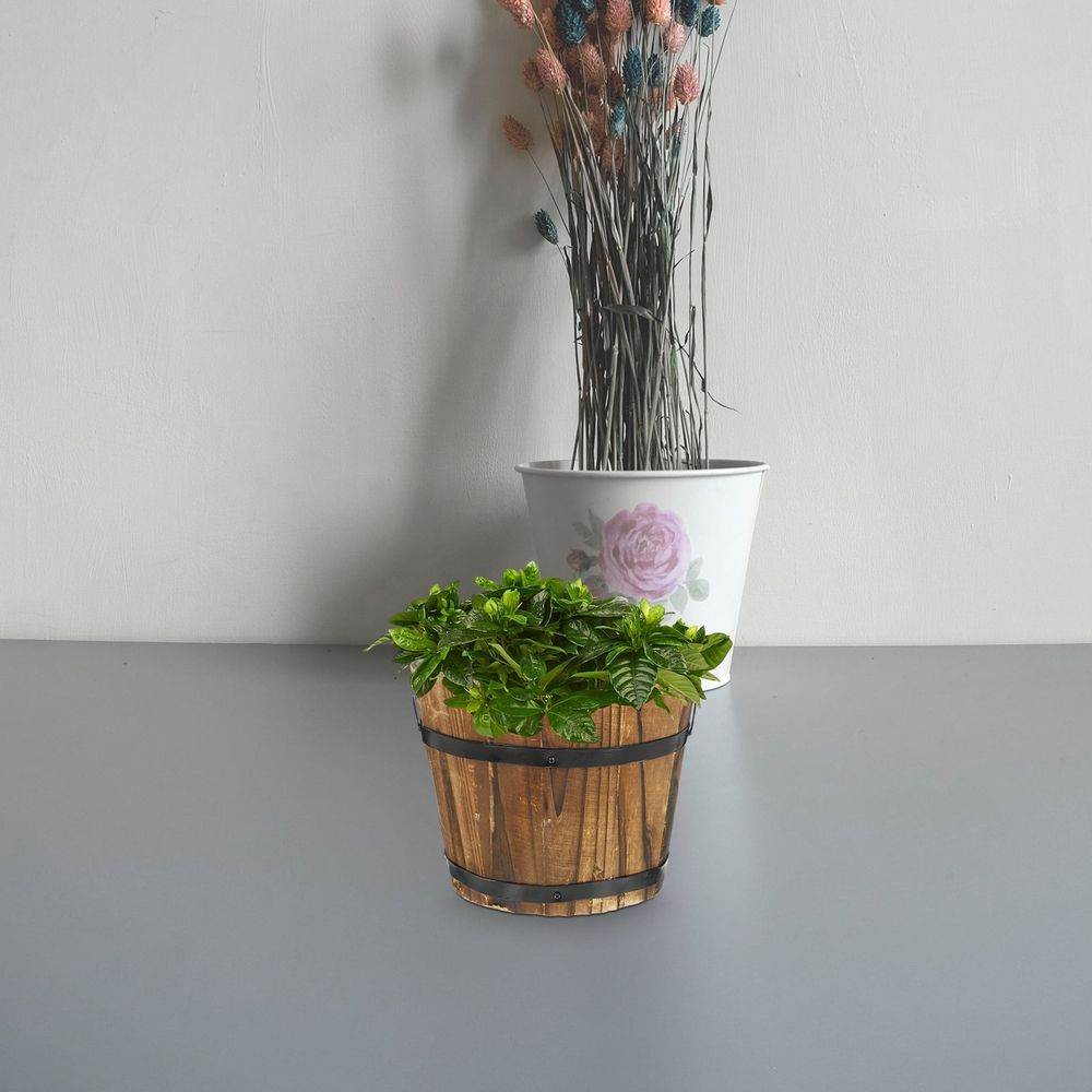 Vegetable Barrel Retro Decor Large Plant Vase for Garden Succulents Planter Pot Wooden Flower Bowl