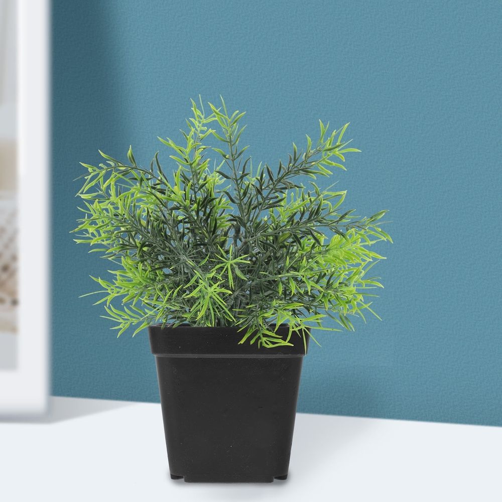Succulent Planter Plastic Black for 100Pcs 2.8x2.7x2.2in