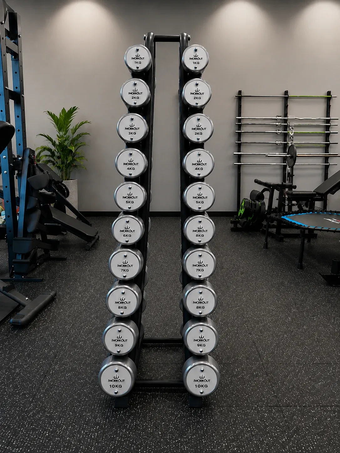 1-10KG Premium Round Chrome Dumbbell Set with Rack