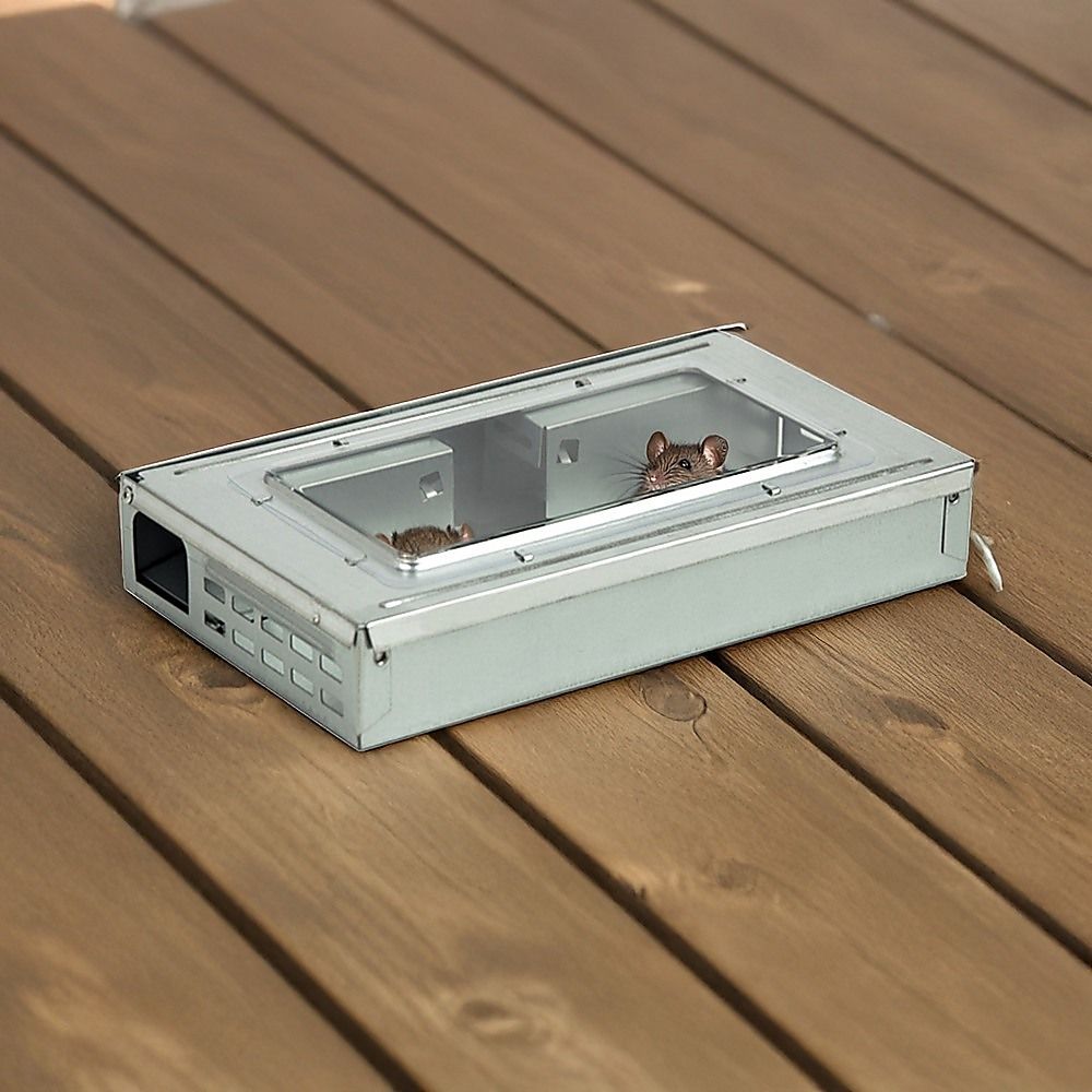 5x Humane Reusable Mice Trap Safe Live Catch Metal Mouse Catcher