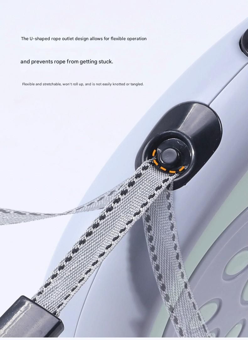 Green Automatic Retractable Dog Leash - 5M Extendable Lead with One-Handed Brake Lock - ABS Casing, Ergonomic Grip, Tangle-Free Nylon Tape, Outdoor Walking Essential