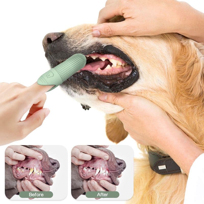 Silicone Pet Finger Toothbrush for Cats and Dogs Soft Dental Care Brush 360 Degree Bristles Ergonomic Design Suitable for All Sizes