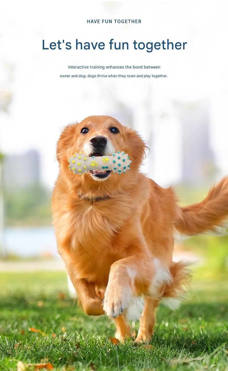 Yellow and Blue Spiked ring barbell Durable TPR Dog Chew Toys Set - for Teeth Cleaning - Non-Toxic, Bite-Resistant, Easy Clean - Interactive Play for Medium to Large Dogs