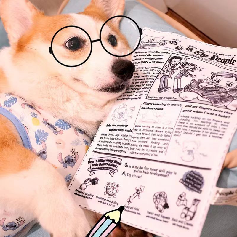 Dog Chew Toy Set - 10 Piece Crinkle Newspaper Sound Toys for Dogs