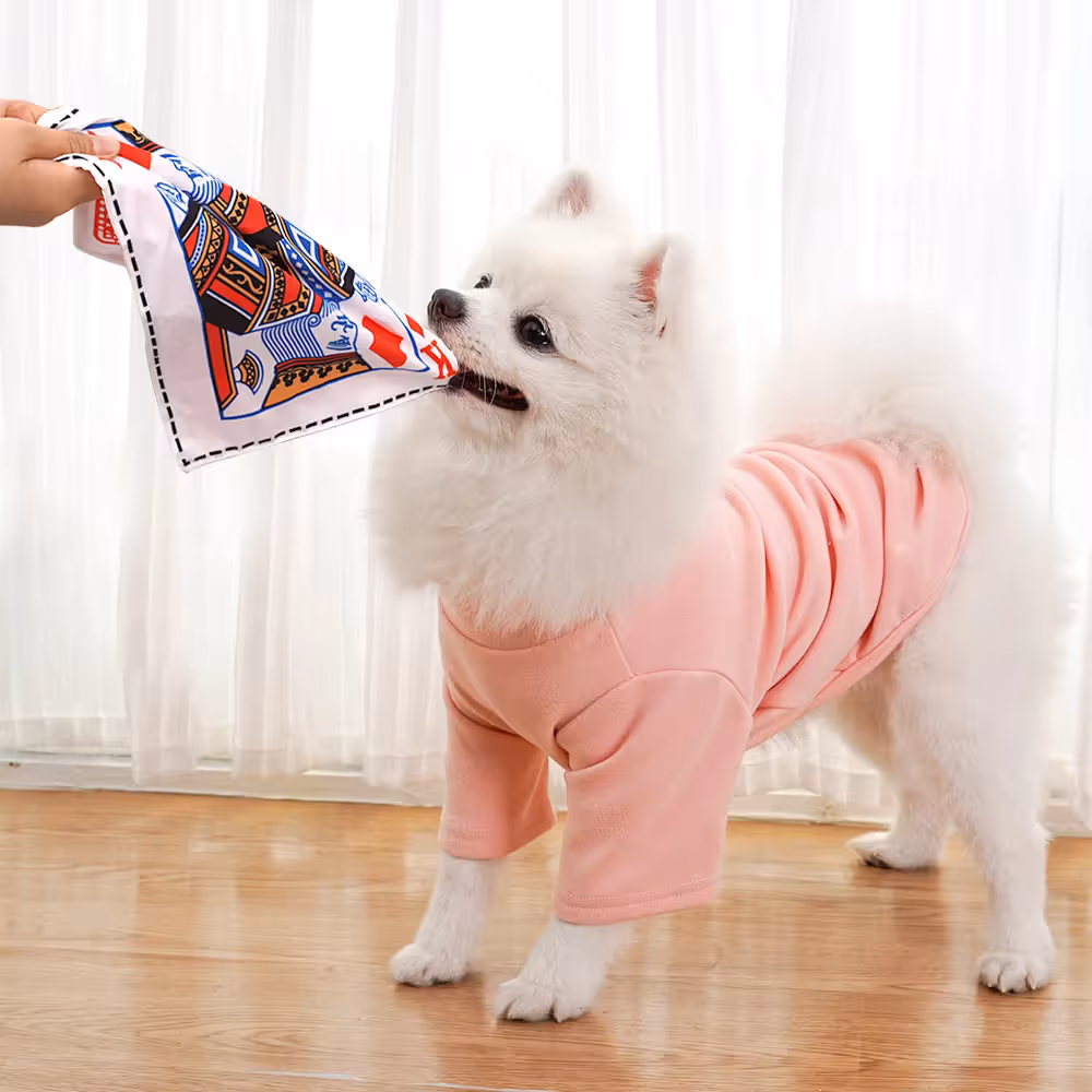 Dog Chew Toy Set - 10 Piece Crinkle Newspaper Sound Toys for Dogs