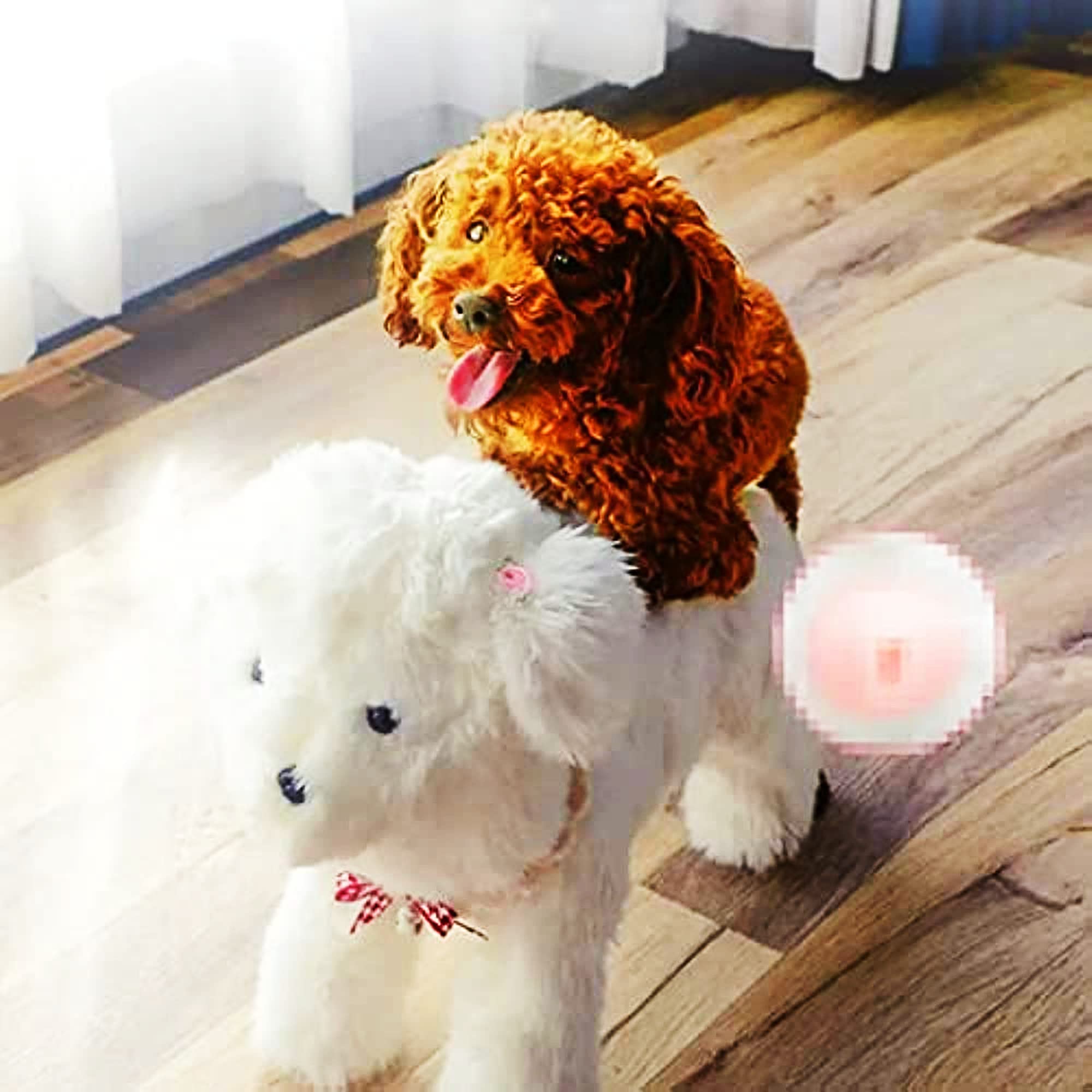Pet Behavioral Support Doll – Realistic Canine Companion Toy for Stress Relief, Made of TPE Silicone & Soft Fur, Stable Suction Base, 1:1 Anatomical Design, for Small to Medium Dogs (White, Channel Height 28cm)