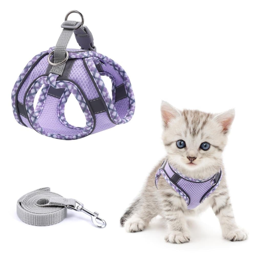 Adjustable Dog and Cat Harness with Leash, Reflective Soft Secure Fit, XXS