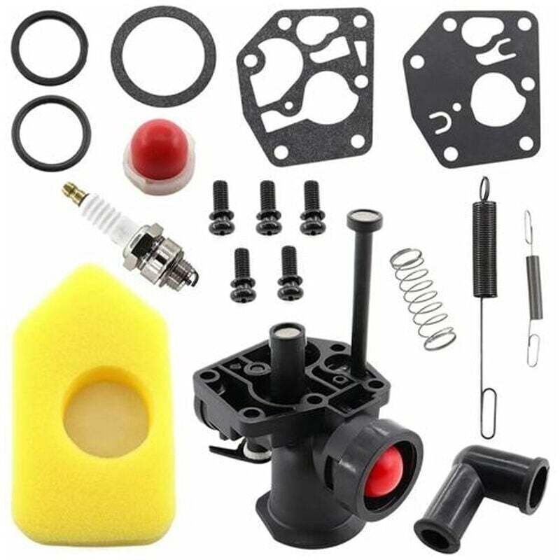 Carburetor Kit for Lawn Mower, Regulator Spring 691859 692211, Diaphragm 795083 495770, Briggs & Stratton 499809 498809A 494406 and Air Filter 698369,