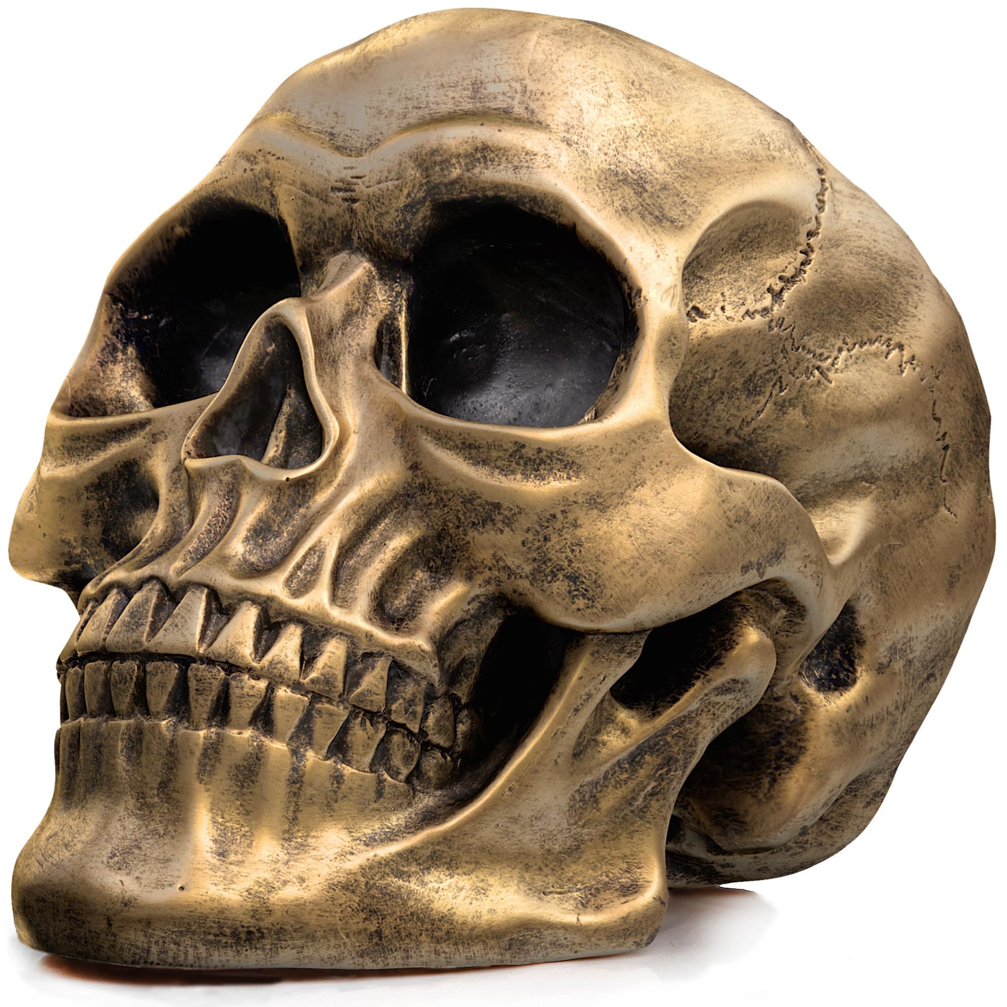 Life Size Human Skull Model 1:1 Replica Realistic Human Adult Skull Head Bone Model (Gold)Halloween and party decorations