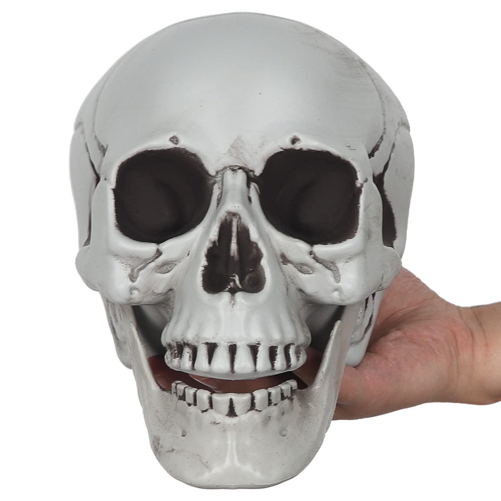 Realistic Human Skull Model 1:1 Skeleton Halloween Outdoor Decoration Prop Life Size Skeleton Distinctive Desig