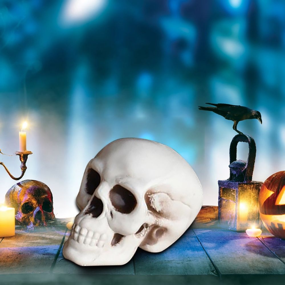 Small Skulls Halloween Decor, 4 Inch Plastic Fake Skeletons, Mini Skulls for Crafts Outdoor Halloween Decorations, Realistic Miniature Human Skull Heads