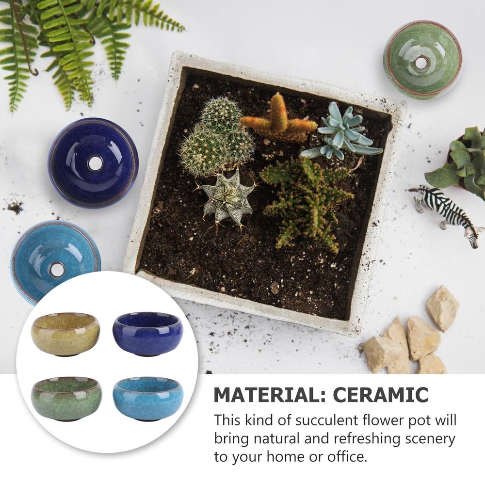 Small Ceramic Flowerpot for Indoor Plants, Decorative for , Cacti, and