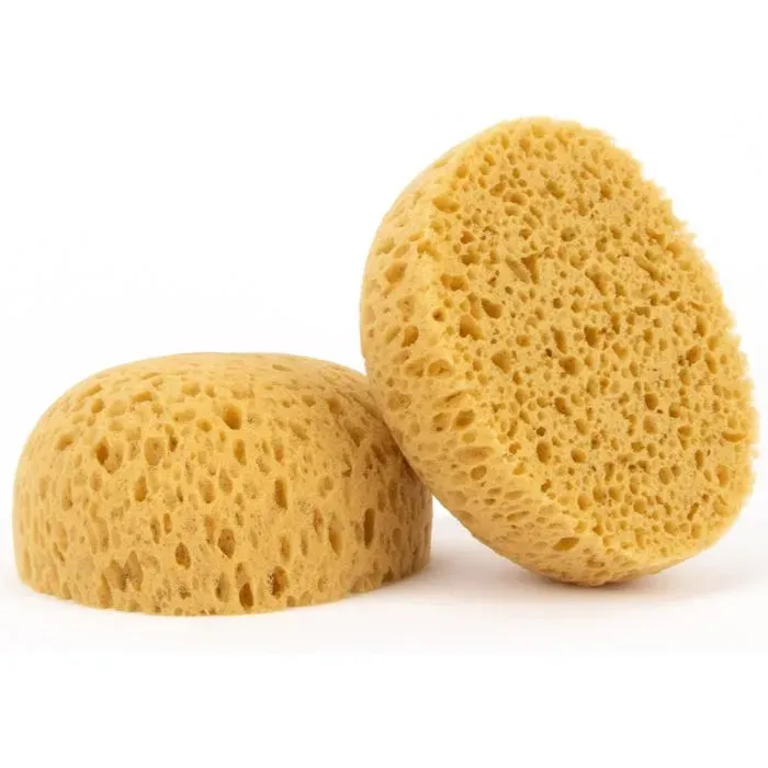 2 Pack Drywall Texture Sponge Tools