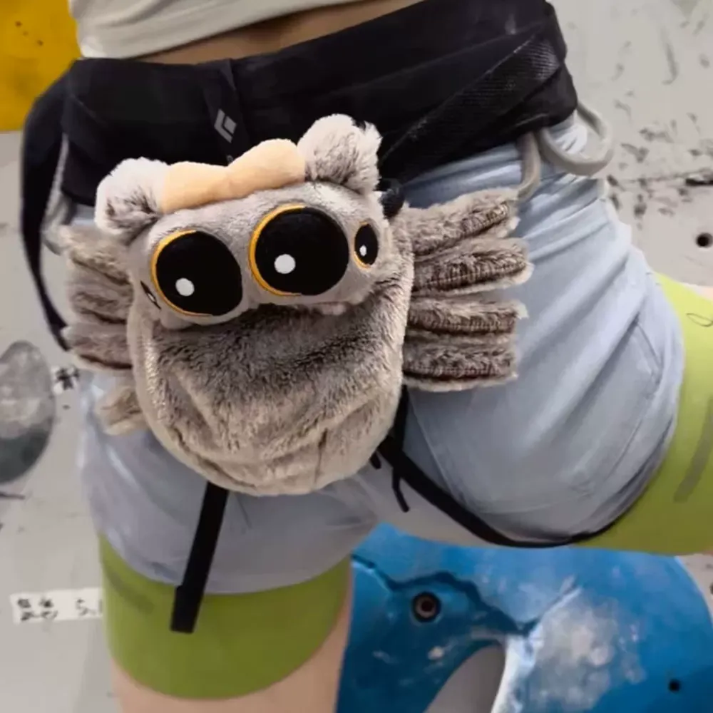Spider Chalk Bag Rock Climbing Equipment